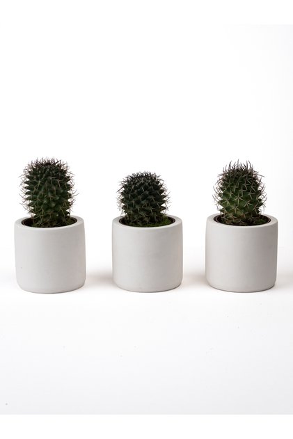 3'lü Mini Sukulent Saksısı - Dekoratif Beton Saksı - Beyaz - 7X7 cm