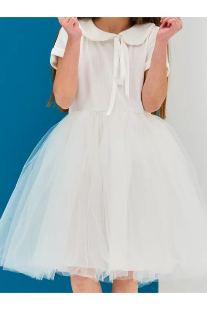 Cotton Lined Tutu Skirt Baby Lapel Short Sleeve Dress