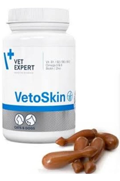 Vetexpert
