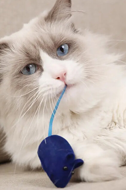 Plush Mouse Cat Toy with Sound – Interactive Cat Mouse Toy, Single Piece