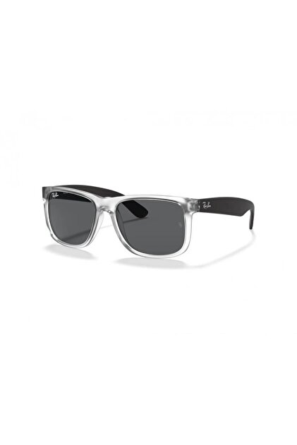 Ray-Ban 0RB 4165 651287 55 Erkek Güneş Gözlüğü - Fiyatı, Yorumları