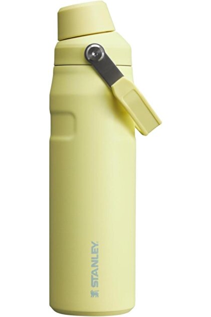 Stanley The Aerolight Iceflow™ Bottle 710 ml - Fiyatı, Yorumları