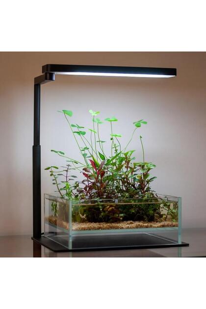 Chihiros Doctor Chihiros C II RGB Akvaryum Aydınlatması - Fiyatı