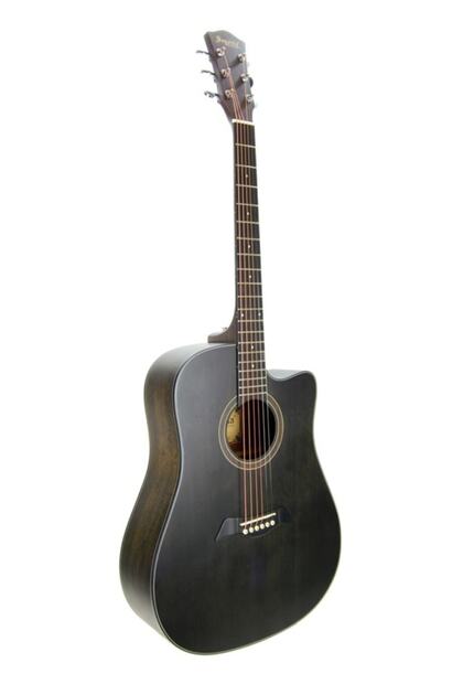 Akustik Gitar Segovıa Ladin Sga486c