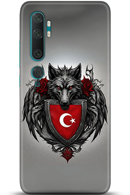 Xiaomi Mi Note 10 Pro Case Hd Printed Case - Central Anatolia Series 5374