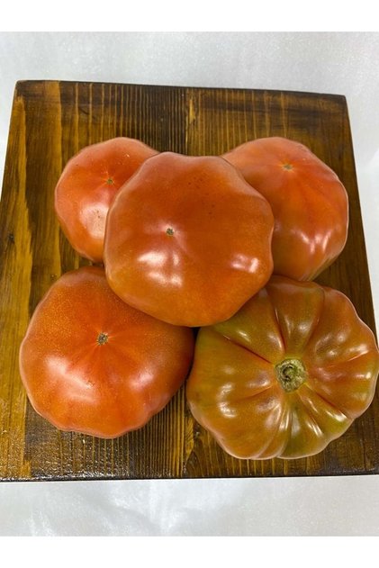Hatay Samadağ Organik Domates(2 KG)
