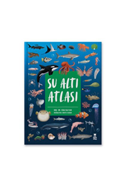 Taze Kitap Güzel Ülke Atlası - Mutlu Tönbekici - Fiyatı, Yorumları