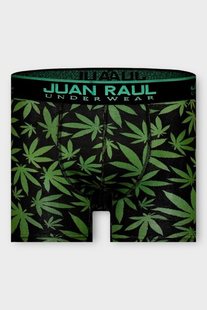 Green Leaf Patterned Men's Boxers - Db223