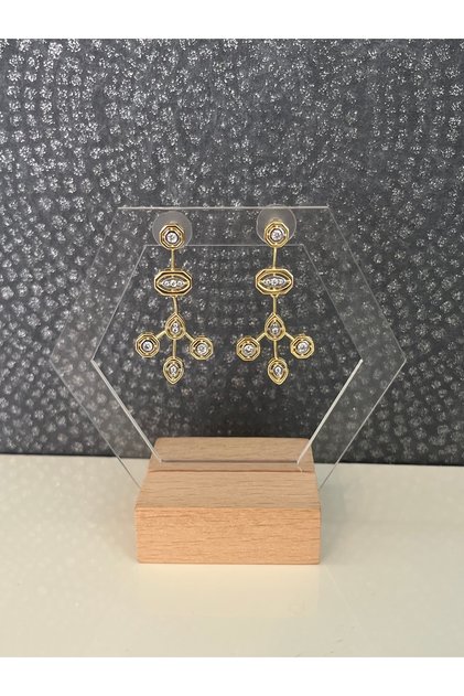 Gold Design Earrings