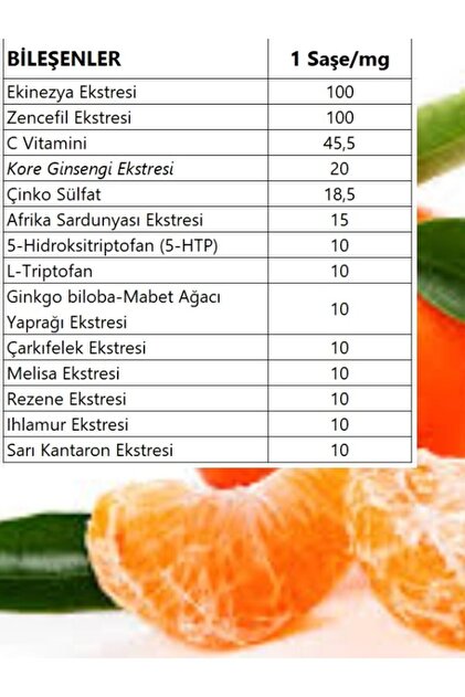 EAT THE SUN DVD不食　断食　ブレサリアン　少食　菜食　ダイエット Akdeniz Diyet – Fitzfood Healthy & Organic