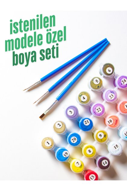 Modele Özel Tüm Renkleri İçeren Boya Seti Sayılarla Boyama