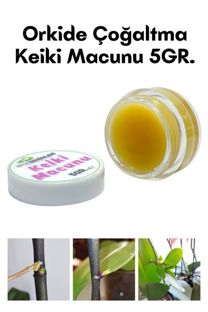 KEİKİ MACUNU ORKİDE VE BİTKİ ÇOĞALTMA DAL ÇIKARMA 5GR