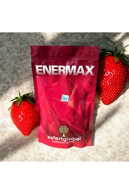 Enermax 500 gr Çiçeklendirme Homojen Meyve Büyütme Çilek Muz Fosfor Potas SEBZE MEYVE