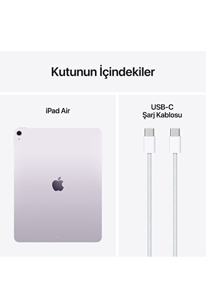 Apple 13