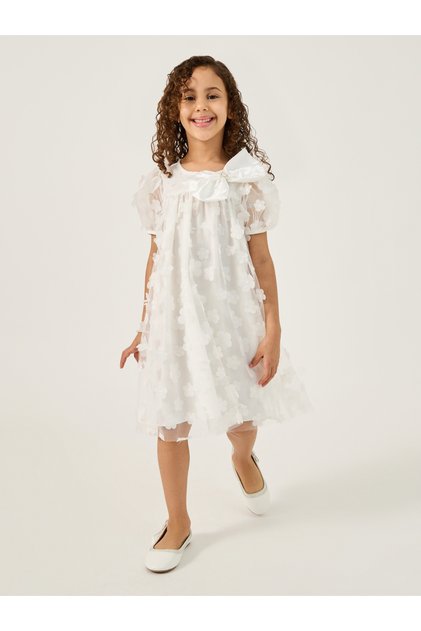 Flower Applique Mesh Insert Dress