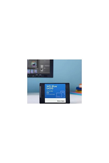 WD Blue 500GB SN510 560-510MB/S 2.5