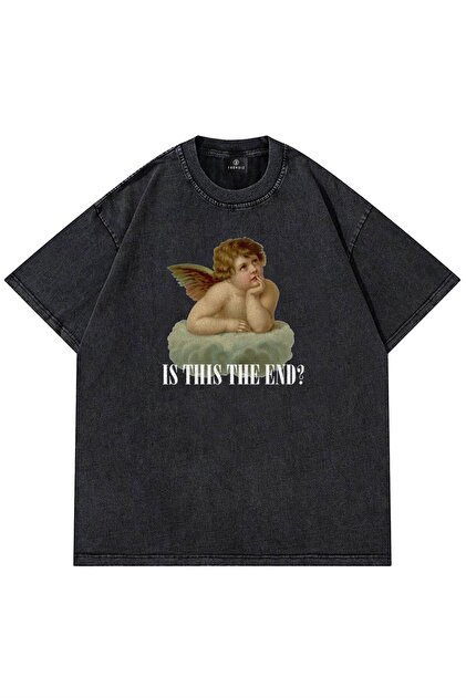 Trendiz Unisex Is This The End ? Yıkamalı Tshirt - Fiyatı, Yorumları