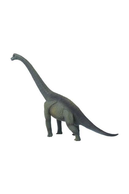 Brachiosaurus