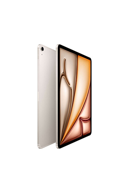 Apple 13