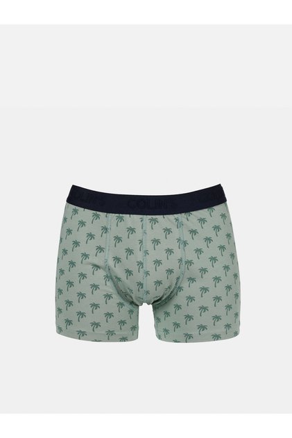 Modern Fit Printed Men's Green Boxers
