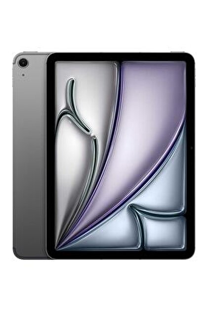 Apple IPAD PRO 11-INCH WIFI 256GB WITH STANDARD GLASS - SPACE