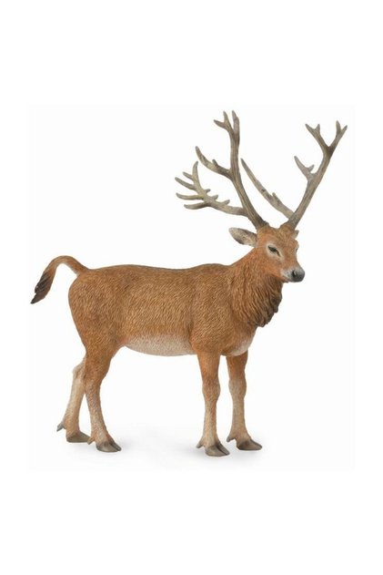 Otec David Deer - Štýlový dizajn
