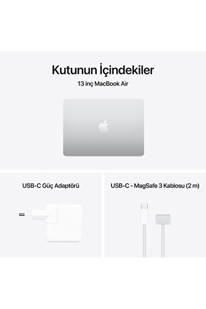 Apple 13