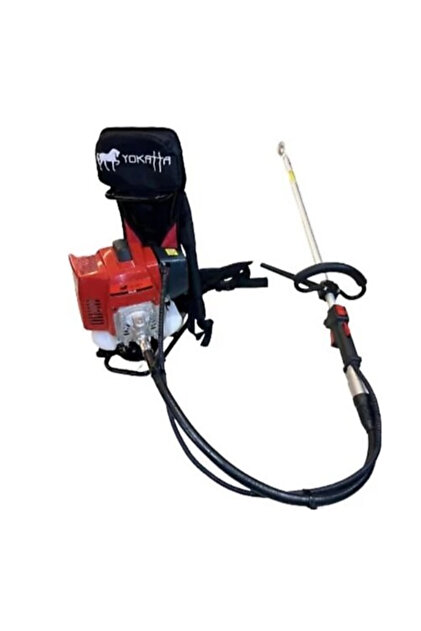 カゴノトリ ゴン太 ゴン太 ポン太さま 専用！ ごんたさま専用 ひーたんさま専用 ZX