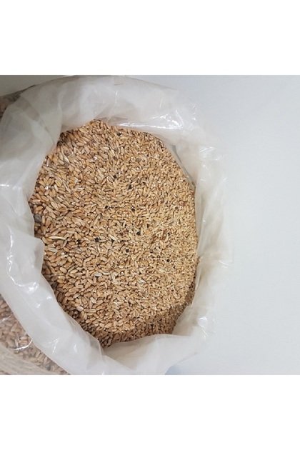 Üveyik Buğdayı (Şaman,Şahman,Kunduru) Atalık Bulgurluk Çiğ Tohum 1 kg
