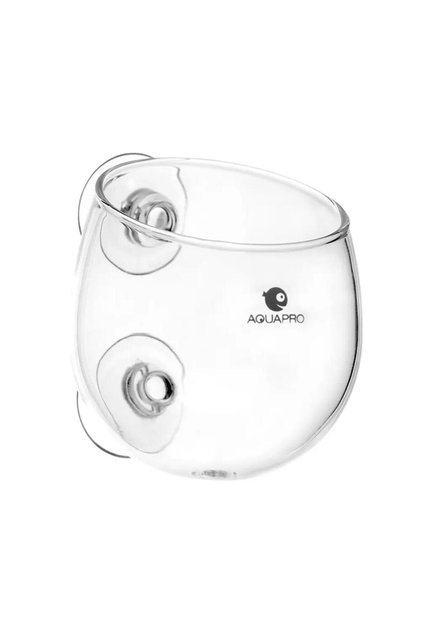 AQUAPRO Glass Plant Pot Cam Bitki Saksısı