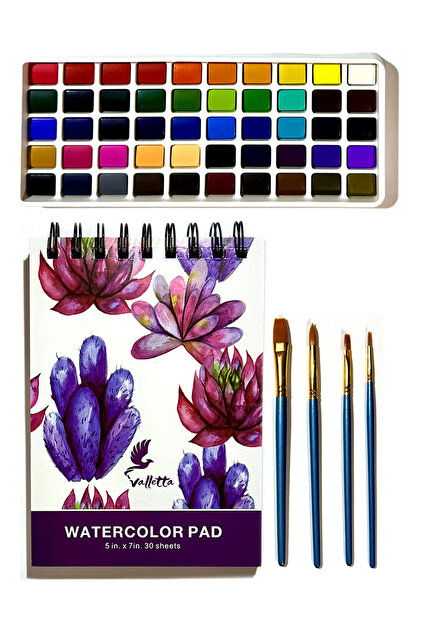 Padova 55-Piece Professional Watercolor Set