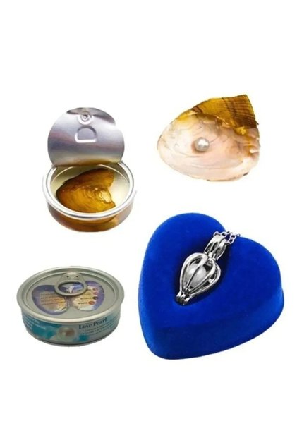 Colorful Oyster Inside Steel Necklace with Pearl