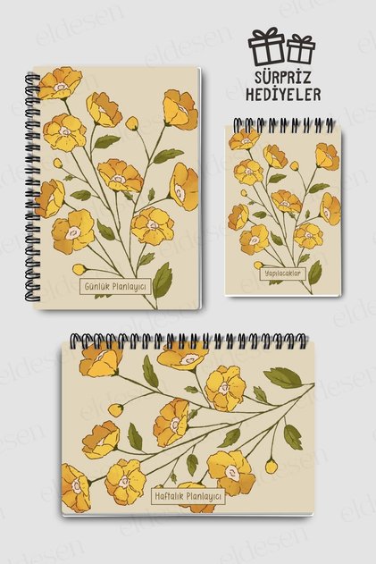 3-Pack Planning Set, Daily Planner, Weekly Planner, To-Do, Academic Agenda