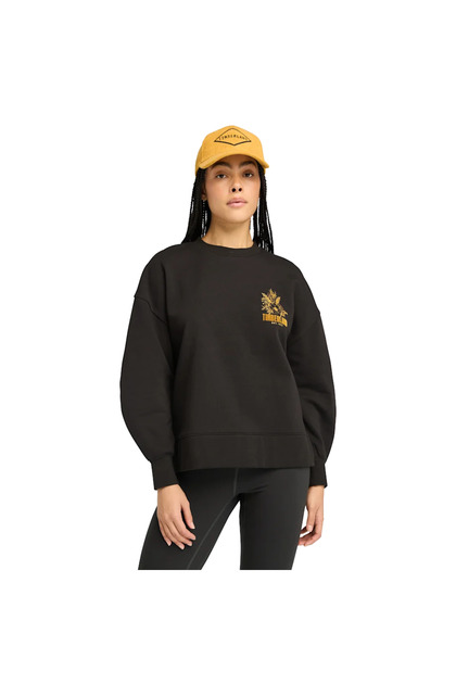 Brushed Chest Graphic Crew Sweatshirt