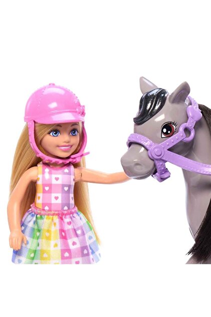 Barbie Chelsea Bebek ve Midilli Figür Seti HTK29 - Fiyatı, Yorumları