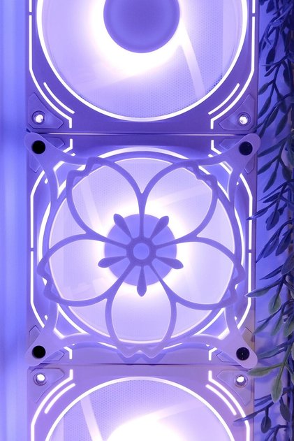 Sakura 120x120 Mm Beyaz Çerçeveli Oyun Pc Aksesuarı, Masaüstü Bilgisayar Fan Kapağı