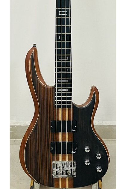 4 Telli Bass Gitar Profesyonel Seri