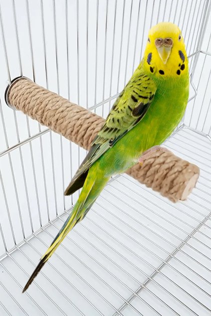 Nature Rope Bird Toy - 15 cm for Small Parrot and Budgies