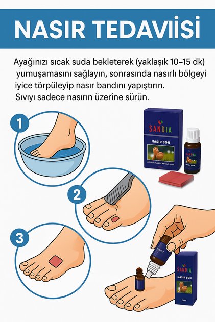 Nasır Son