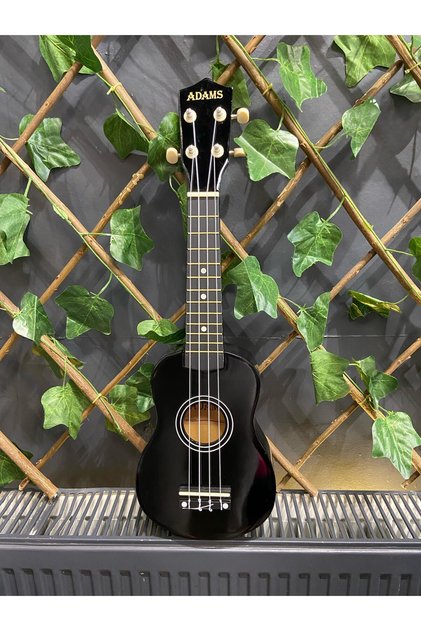 54 Cm Soprano Siyah Ukulele (Kılıf ve pena dahil)