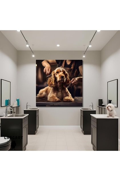Tekli Kare Kanvas Pet Kuaför Kesim Yapılan Cocker Köpek