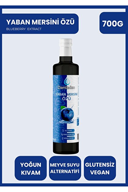 DAMLADAN yaban mersini özü 700gr - Fiyatı, Yorumları