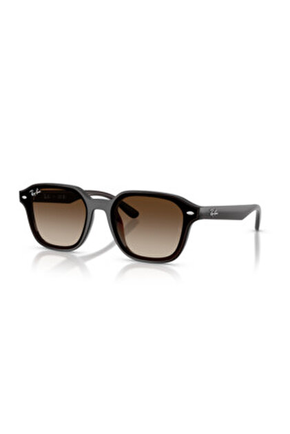 Ray-Ban RB 4459D (623173) Güneş Gözlüğü - Fiyatı, Yorumları