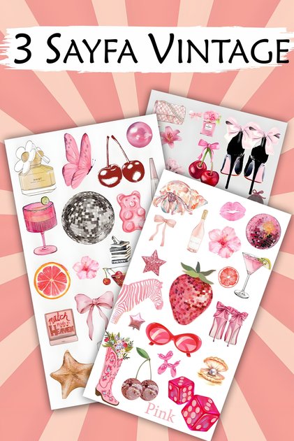 3 Sayfa Pink Vintage Sticker Seti - Defter Laptop Suluk Etiketi