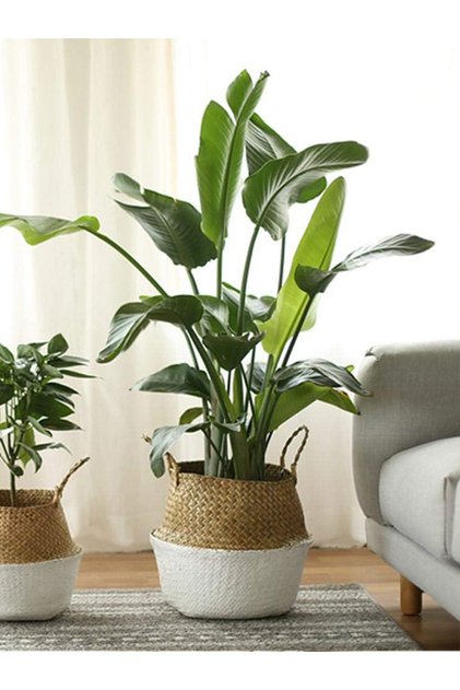 Foldable Wicker Basket Flower Pot Natural-White 24X28Cm
