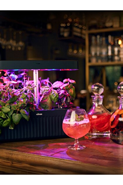 Vahaa Akıllı Bahçe - Inox Gri (BAŞLANGIÇ KİTİ HEDİYE) : Topraksız