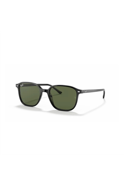 Rb 2193 90131 51 Leonard Unisex Black Bone Sunglasses
