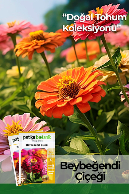 30 Adet Beybeğendi (zinnia) Çiçek Tohumu