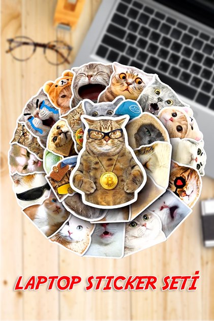 Kedi Temalı Sticker Seti -2 Sayfa Planner Ajanda Bullet Journal Laptop