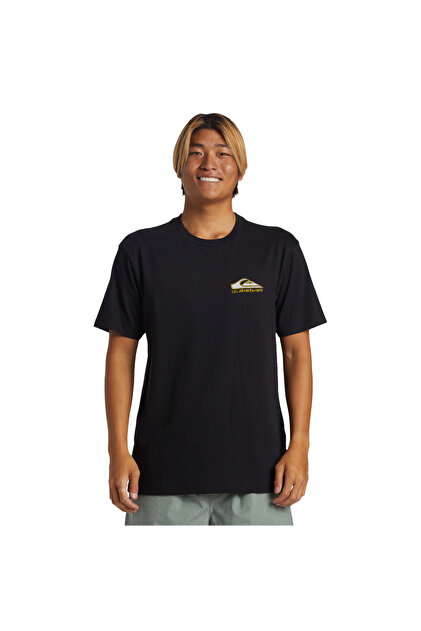 Quiksilver Step Up Mor Erkek Tişört ERKEK T-SHIRT AQYZT09563